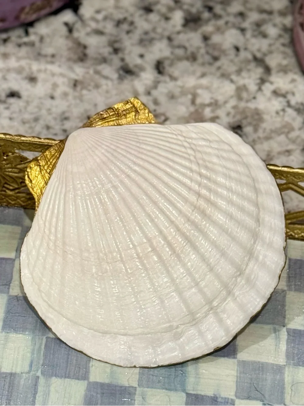 Hand crafted spider web trinket shell dish bar accessory black 5”